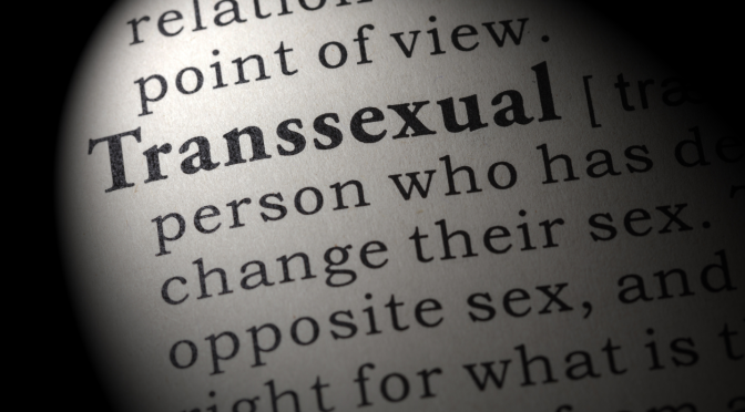 What’s the Cause of Transsexual Attraction?