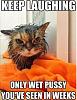 Click image for larger version. 

Name:	wetpussy.jpg 
Views:	9 
Size:	42.3 KB 
ID:	102981