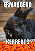 Click image for larger version. 

Name:	ermahgerd-bunny2-580734543df78cbc28f46ce5.png 
Views:	20 
Size:	149.3 KB 
ID:	125839