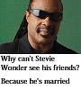 Click image for larger version. 

Name:	stevie.jpg 
Views:	29 
Size:	68.2 KB 
ID:	128210