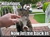 Click image for larger version. 

Name:	funny-pictures-cat-wants-to-be-allo.jpg 
Views:	20 
Size:	44.5 KB 
ID:	14986