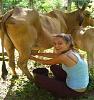 Click image for larger version. 

Name:	woman-milking-co&#11.jpg 
Views:	25 
Size:	30.8 KB 
ID:	20890