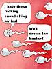 Click image for larger version. 

Name:	sperm0.jpg 
Views:	250 
Size:	76.4 KB 
ID:	21698