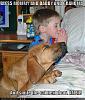 Click image for larger version. 

Name:	funny-dog-pictures-praying-dog-boy-bed.jpg 
Views:	72 
Size:	56.4 KB 
ID:	22398