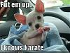 Click image for larger version. 

Name:	karate.jpg 
Views:	20 
Size:	31.9 KB 
ID:	22881