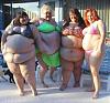 Click image for larger version. 

Name:	fat-girls-in-bikinis.jpg 
Views:	65 
Size:	22.8 KB 
ID:	3033