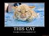 Click image for larger version. 

Name:	angry cat.jpg 
Views:	17 
Size:	31.2 KB 
ID:	30461