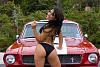Click image for larger version. 

Name:	classic-mustang.jpg 
Views:	30 
Size:	47.2 KB 
ID:	44965
