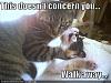 Click image for larger version. 

Name:	funny-pictures-cat-strangles-cat.jpg 
Views:	49 
Size:	35.1 KB 
ID:	7779