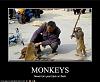 Click image for larger version. 

Name:	monkey.JPG 
Views:	33 
Size:	32.2 KB 
ID:	7943