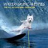Click image for larger version. 

Name:	water-ski-westies-08.jpg 
Views:	16 
Size:	51.4 KB 
ID:	8160