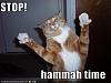 Click image for larger version. 

Name:	funny-pictures-mc-hammer-cat.jpg 
Views:	15 
Size:	23.9 KB 
ID:	8809