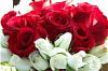 Click image for larger version. 

Name:	roses.jpg 
Views:	14 
Size:	4.7 KB 
ID:	8920