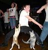 Click image for larger version. 

Name:	funny-cats-dance.jpg 
Views:	25 
Size:	47.7 KB 
ID:	89855