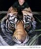 Click image for larger version. 

Name:	cool-art-tiger-face-girls-paint.jpg 
Views:	72 
Size:	44.5 KB 
ID:	93629