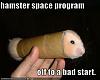 hamster space program