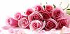 Click image for larger version. 

Name:	roses-04.jpg 
Views:	9 
Size:	42.0 KB 
ID:	96070