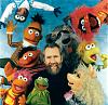 Click image for larger version. 

Name:	muppet group pic.jpg 
Views:	16 
Size:	70.7 KB 
ID:	11070