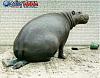 Click image for larger version. 

Name:	hippo_sitting_on_face.jpg 
Views:	116 
Size:	44.3 KB 
ID:	27124