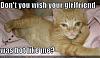 Click image for larger version. 

Name:	funny-pictures-hot-cat-girlfriend.jpg 
Views:	13 
Size:	29.1 KB 
ID:	51802
