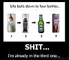 Click image for larger version. 

Name:	Life-Boils-Down-To-Four-Bottles-600x521.jpg 
Views:	44 
Size:	32.7 KB 
ID:	123379