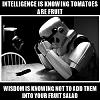 Click image for larger version. 

Name:	intelligence-is-knowing-tomatoes-are-fruit-wisdom-is-knowing-not-to-add-them-into-your-fruit-sal.jpg 
Views:	39 
Size:	45.7 KB 
ID:	123354